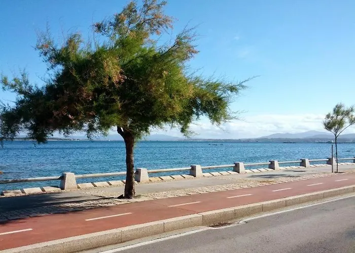 Διαμέρισμα Tranquilo Zona Paseo De Lordelo - Wifi - Mascotas O Grove